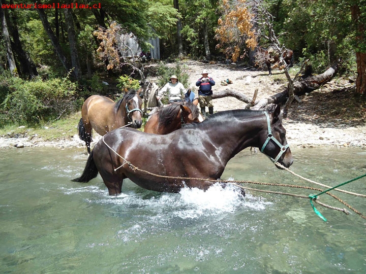 Fotografía 9 de Cabañas Pesca deportiva paseos Observación flora y fauna en Cochamo en Cochamo, Los Lagos