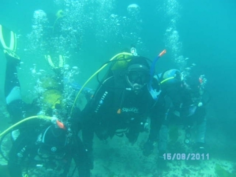 Fotografía 10 de Buceo en Bahía Inglesa en Caldera, Atacama