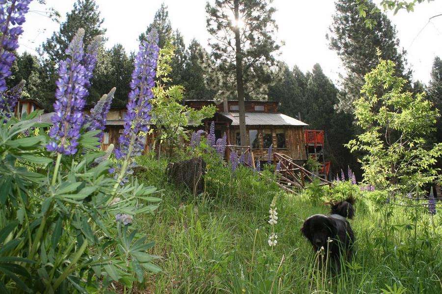Fotografía 2 de Hostal Salamandras, Coyhaique en Coyhaique, Aysen