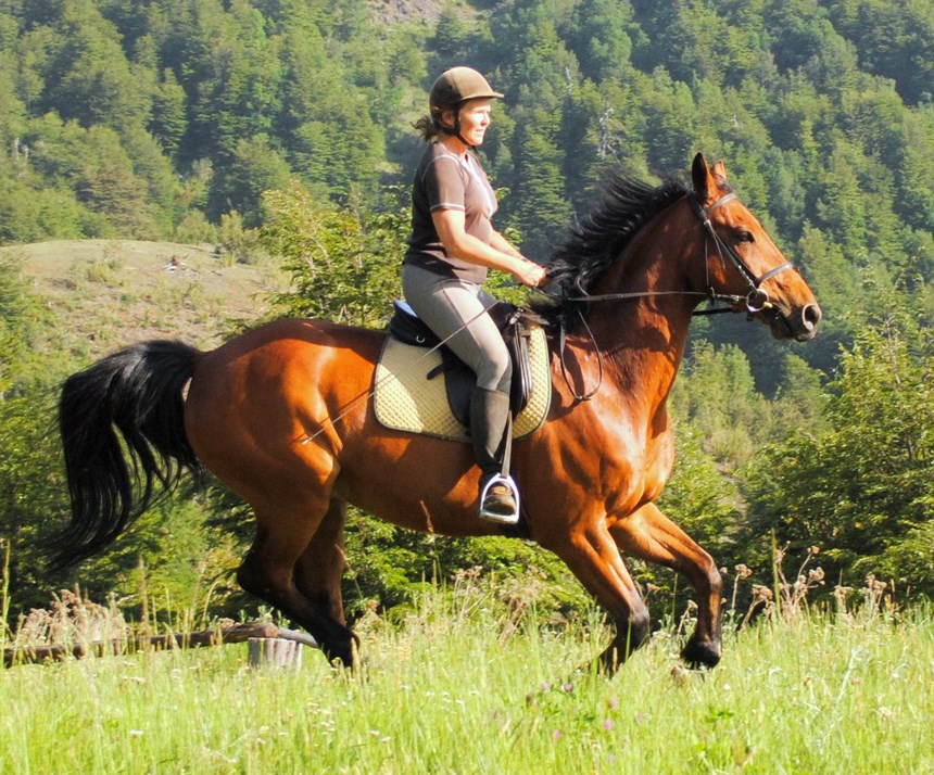 Fotografía 4 de Cabalgatas en Fundo Laguna Blanca - Curacautin en Curacautin, Araucania