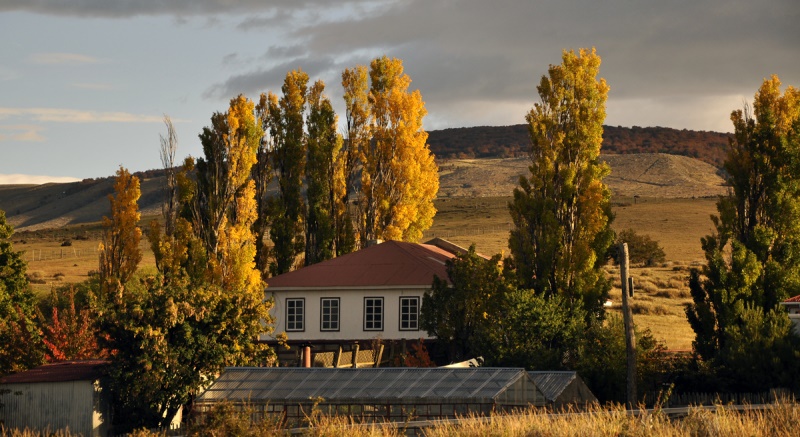 Fotografía 15 de Estancia Cerro Guido, Punta Arenas en Punta Arenas, Magallanes