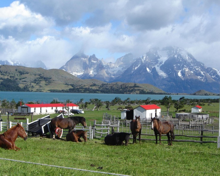 Fotografía 6 de Mirador Del Payne Hostería en Torres Del Paine, Magallanes