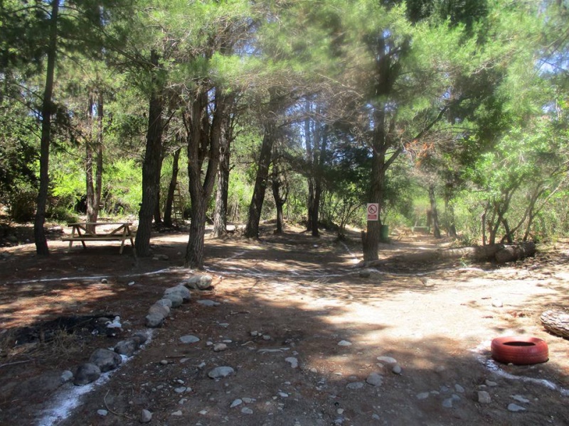 Fotografía 3 de Camping Familiar y Viajes Especiales en Linares, Maule