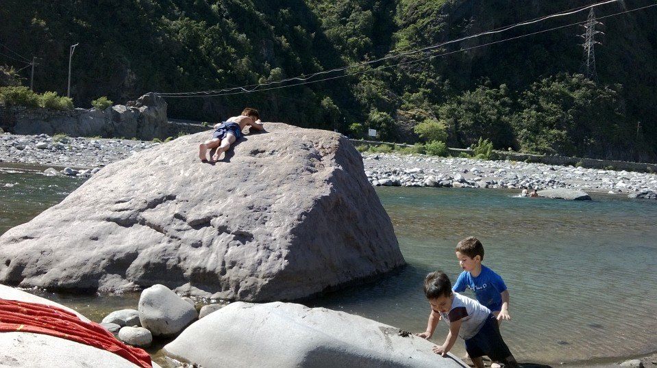 Fotografía 4 de Ven a disfrutar de la naturaleza y fauna nativa, sera una experincia unica en San Clemente, Maule