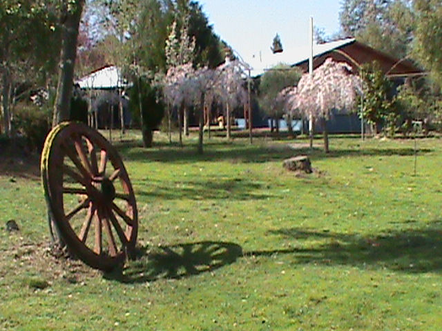 Fotografía 9 de Cabañas Turisticas en Pinto, Bio Bio