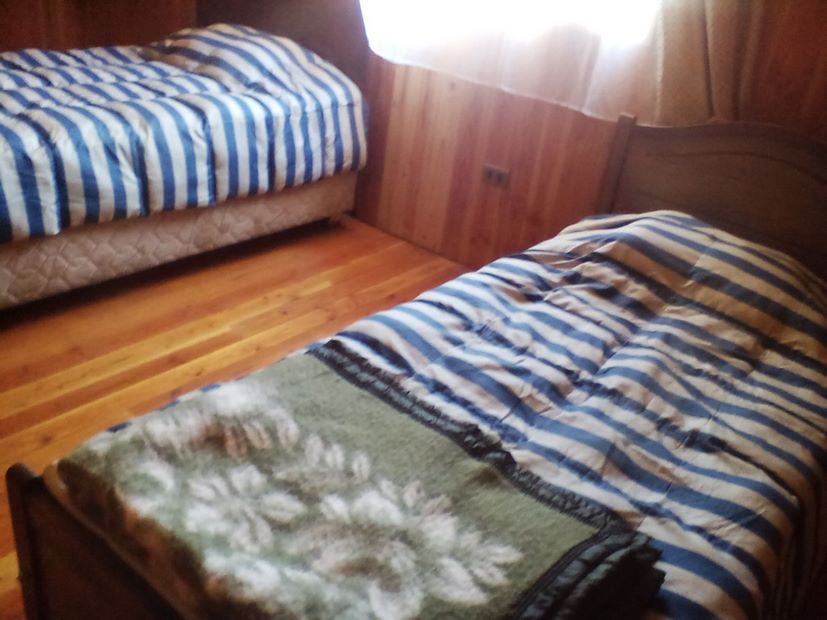 Fotografía 9 de Arriendo de Cabañas Coñaripe en Villarrica, Araucania