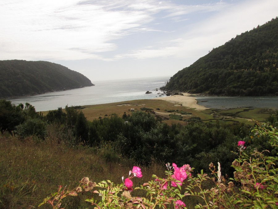 Fotografía 3 de Caleta Condor chile en Rio Negro, Los Lagos