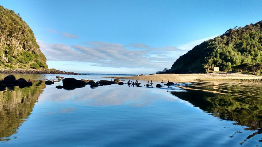 Fotografía 6 de Caleta Condor chile en Rio Negro, Los Lagos