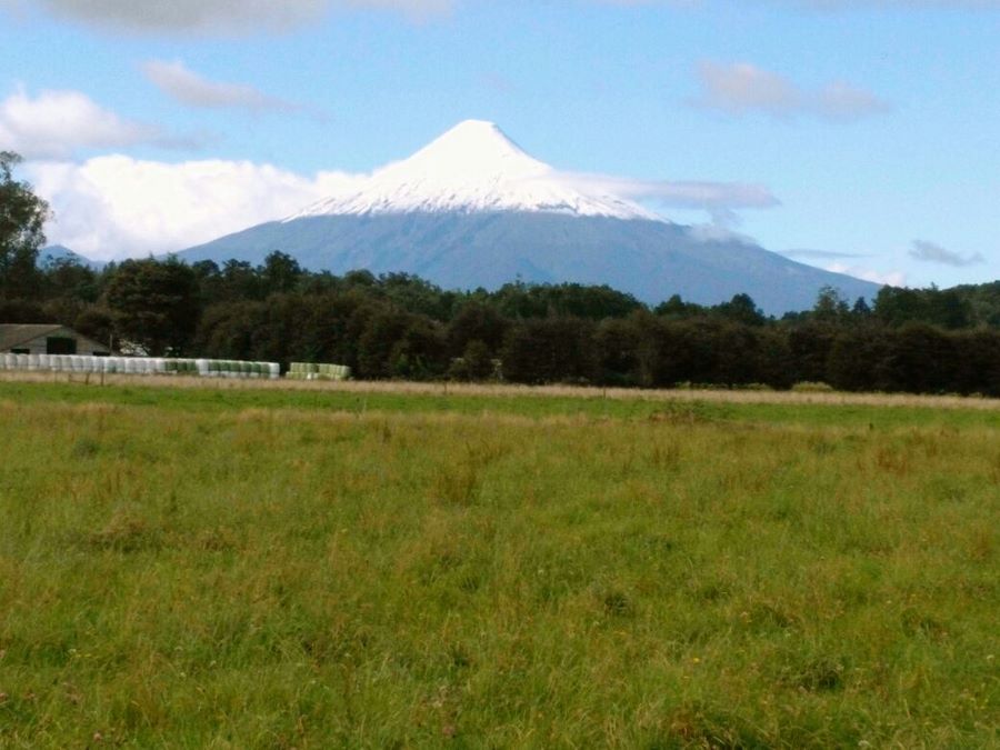 Fotografía 11 de Tours y excursiones en Puerto Montt  en Puerto Montt, Los Lagos