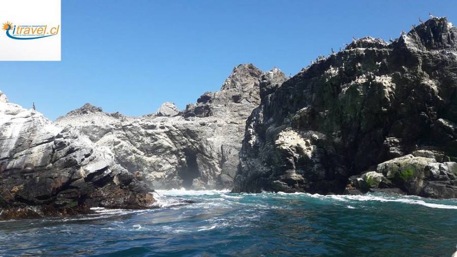 Fotografía 7 de Traslado privado a Punta de Choros, Región de Coquimbo en La Serena, Coquimbo