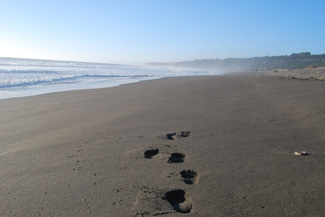 Fotografía 12 de Camping familiar privado en playas de Iloca, Curico, Talca, región del Maule en Licanten, Maule
