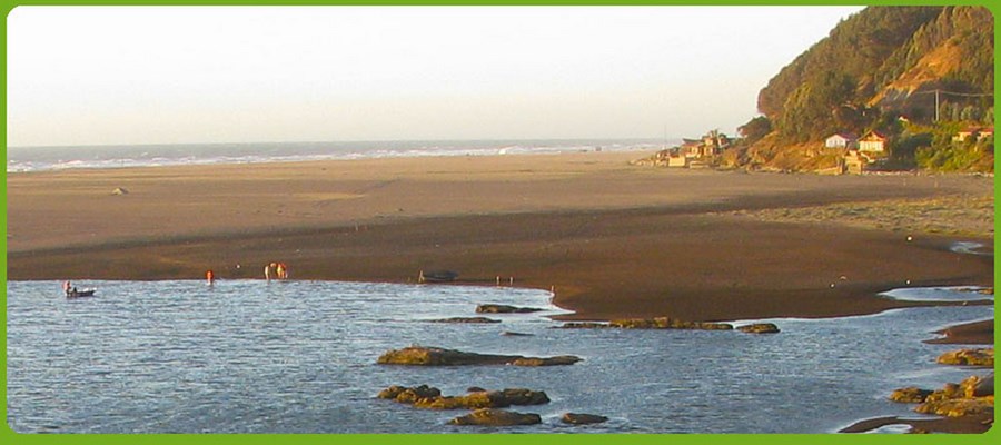 Fotografía 9 de Camping familiar privado en playas de Iloca, Curico, Talca, región del Maule en Licanten, Maule