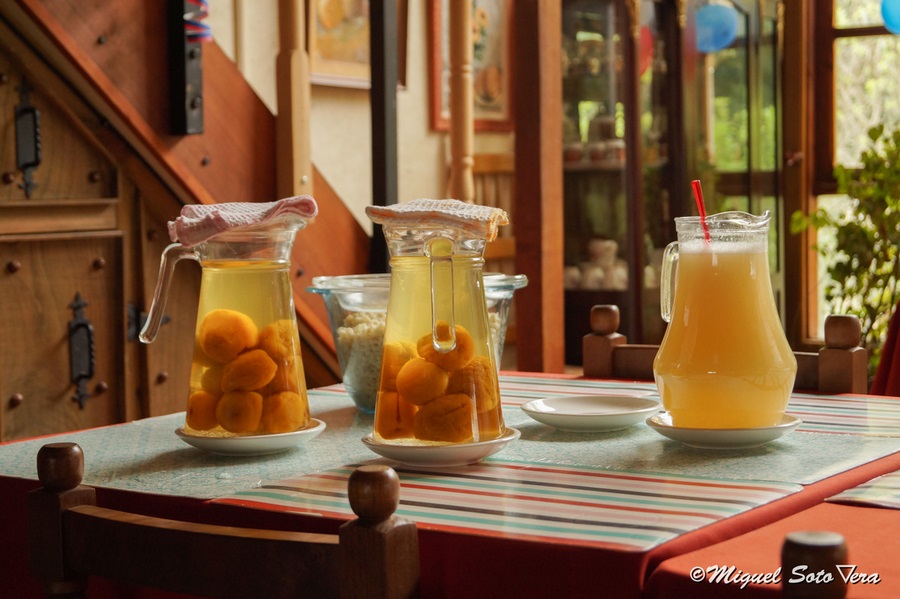 Fotografía 20 de Tu estadía en Mariquina, es en Hostal Don Luis en Mariquina, Los Rios