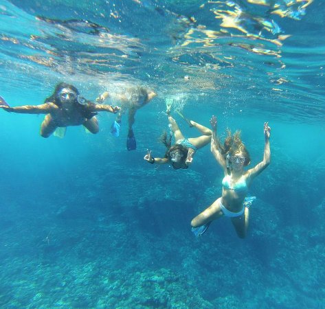 Fotografía 4 de Snorkeling en el Ombligo del Mundo en Isla De Pascua, Valparaiso