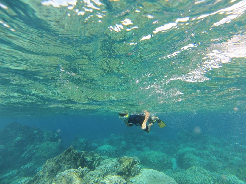 Fotografía 7 de Snorkeling en el Ombligo del Mundo en Isla De Pascua, Valparaiso