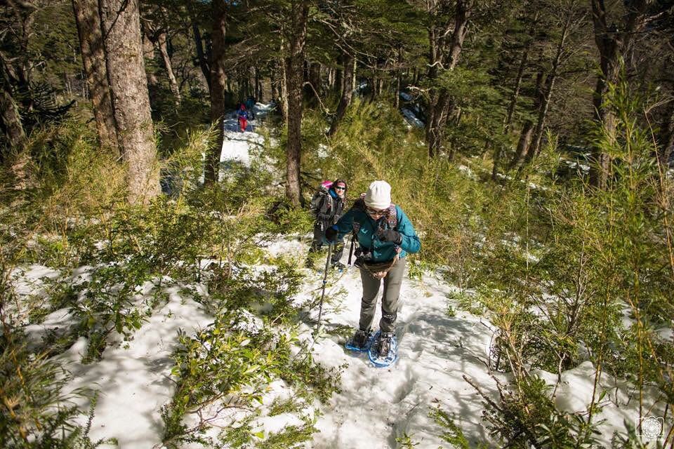 Fotografía 14 de Turismo aventura en Villarrica en Villarrica, Araucania