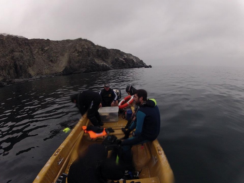 Fotografía 15 de Cursos de Buceo en Bahia Inglesa en Copiapo, Atacama