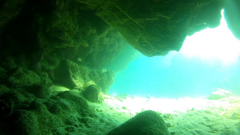 Fotografía 20 de Cursos de Buceo en Bahia Inglesa en Copiapo, Atacama
