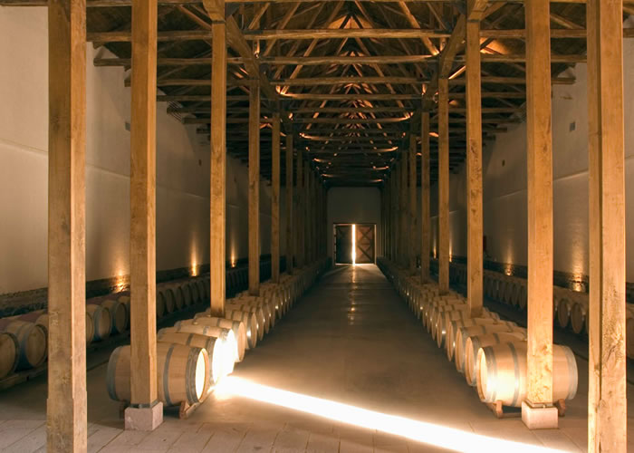 Fotografía 15 de Tours de Vinos en Santa Cruz, Ohiggins