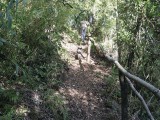 Fotografía 6 de Camping Los Nogales de Vilches en San Clemente, Maule