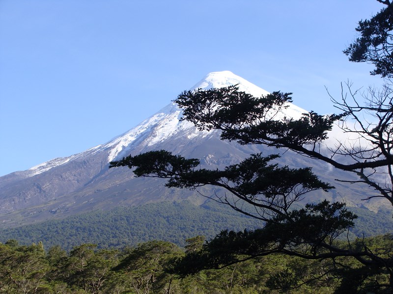 Fotografía 6 de Excursiones Puerto Montt en Puerto Montt, Los Lagos