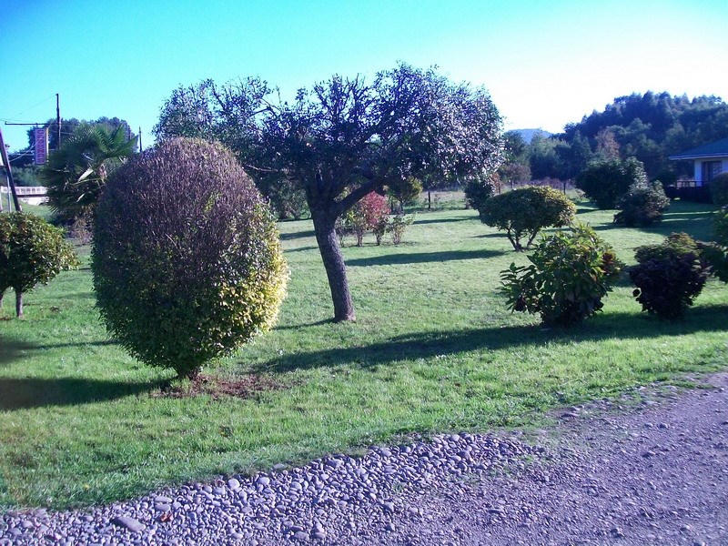 Fotografía 2 de Cabañas Curitambo en Lanco, Los Rios