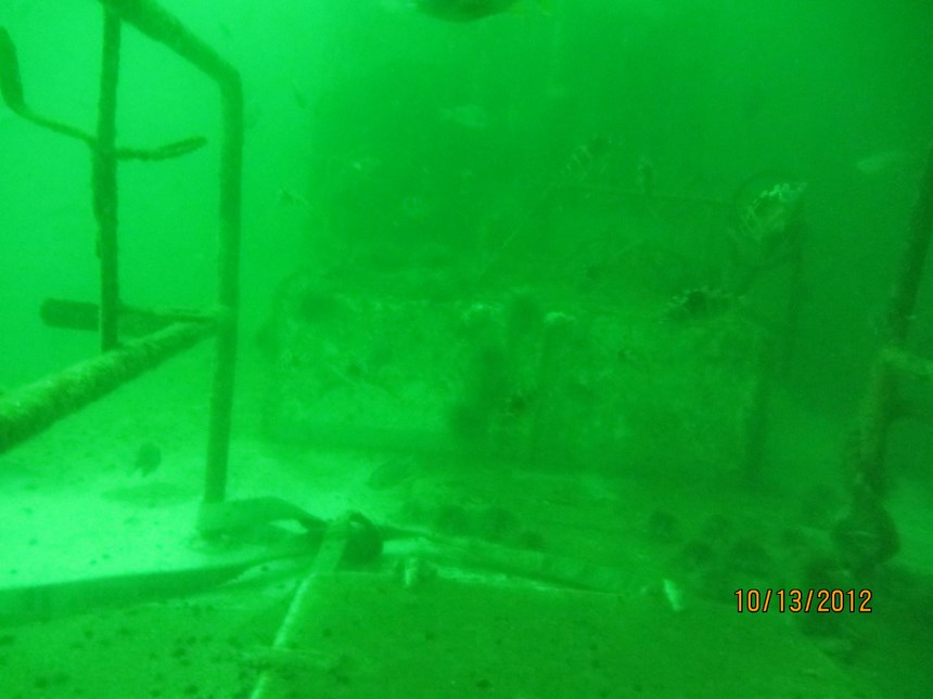 Fotografía 2 de Buceo Deportivo Guiados en Iquique en Iquique, Tarapaca