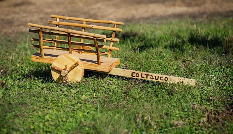 Fotografía 5 de Ven a descansar a Coltauco en Coltauco, Ohiggins