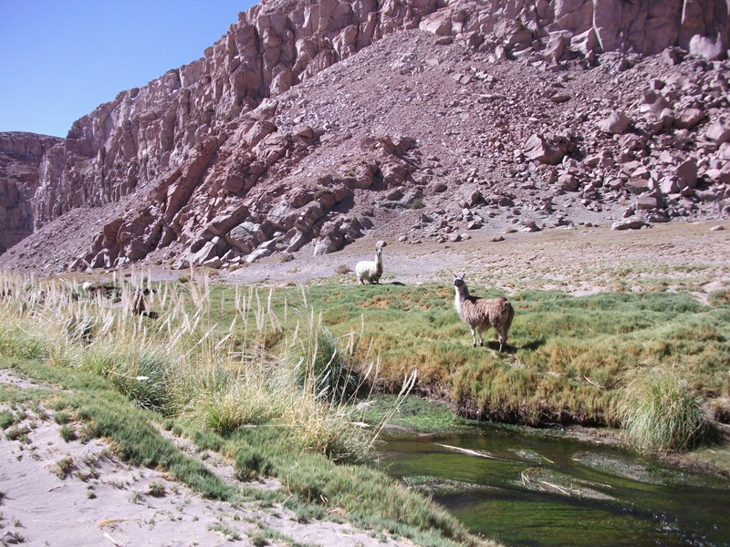Fotografía 3 de Alto El Loa y San Pedro de Atacama en Calama, Antofagasta