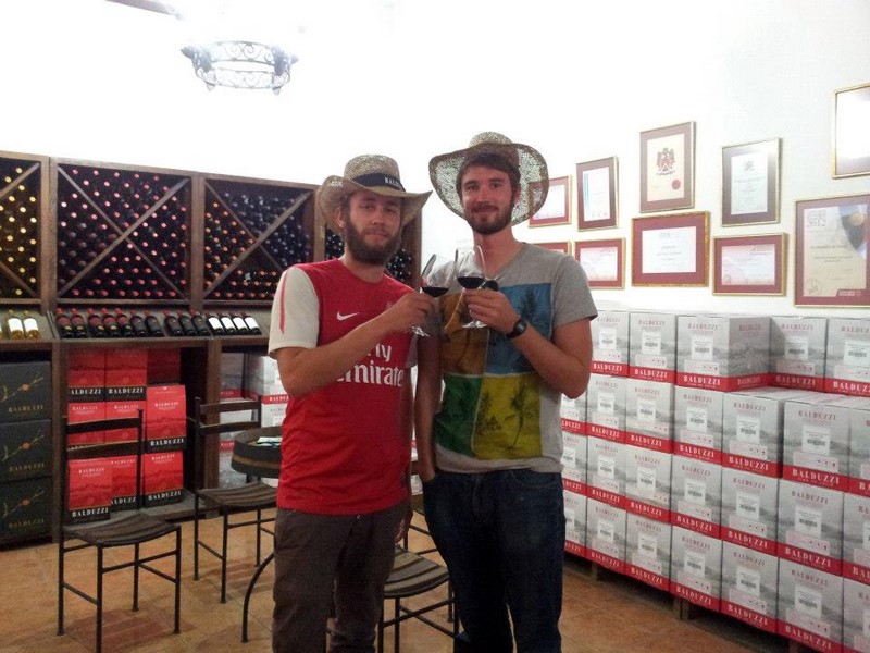 Fotografía 14 de Viña Balduzzi en San Javier, Maule