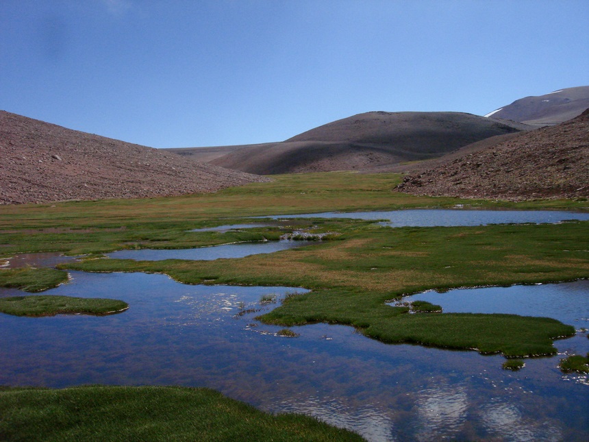 Fotografía 3 de Ruta de los seimiles en Copiapo, Atacama