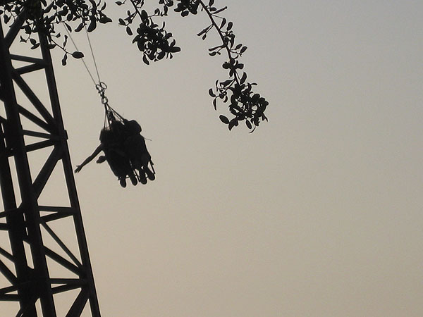 Fotografía 4 de Swing Bungge en La Reina en La Reina, Metropolitana