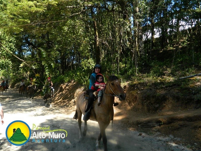 Fotografía 8 de Cabalgatas en Chiloe en Castro, Los Lagos