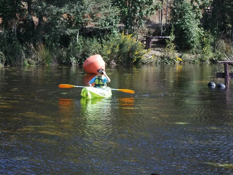Fotografía 2 de Kayak en Laguna, Chiloe. en Castro, Los Lagos