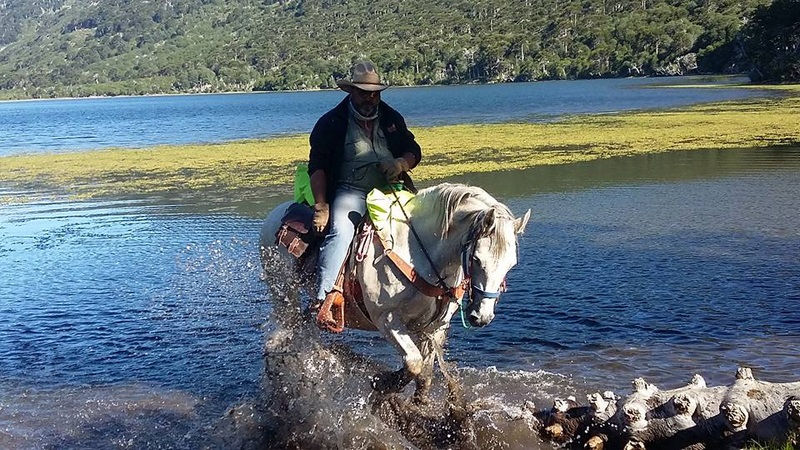 Fotografía 14 de Cabalgatas y Tours en Puerto Saavedra en Saavedra, Araucania