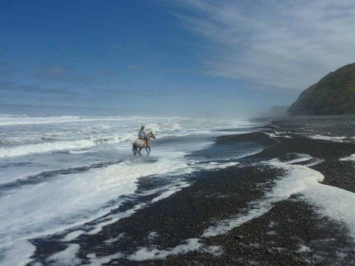 Fotografía 18 de Cabalgatas y Tours en Puerto Saavedra en Saavedra, Araucania