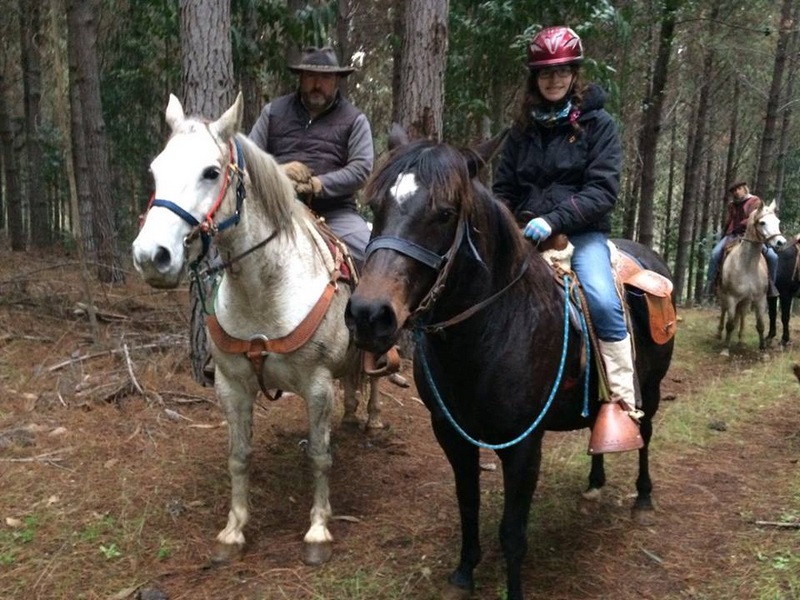 Fotografía 2 de Cabalgatas y Tours en Puerto Saavedra en Saavedra, Araucania