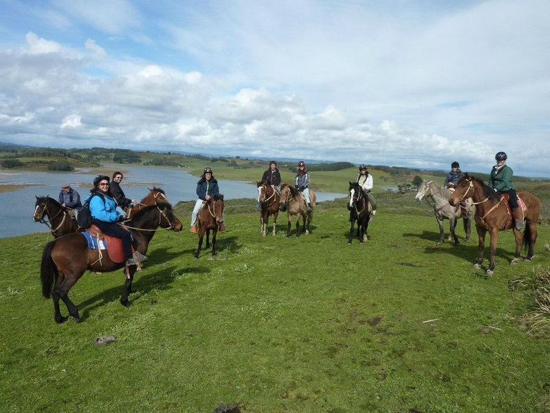 Fotografía 8 de Cabalgatas y Tours en Puerto Saavedra en Saavedra, Araucania