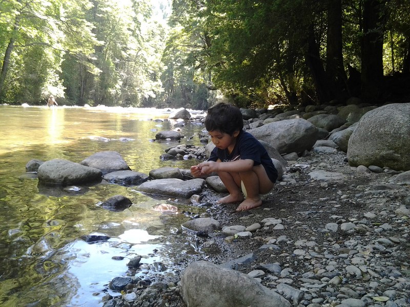 Fotografía 5 de Cabaña rodeada de naturaleza y tranquilidad en Pucon, Araucania