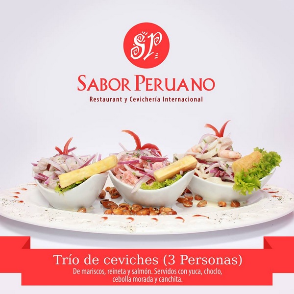 Fotografía 6 de Sabor Peruano 1 en Maule, Maule