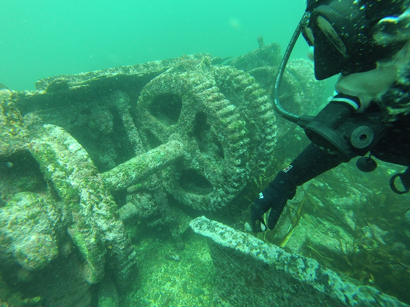 Fotografía 3 de Buceo Quintay - Buceo Recreativo Autonomo en Valparaiso, Valparaiso