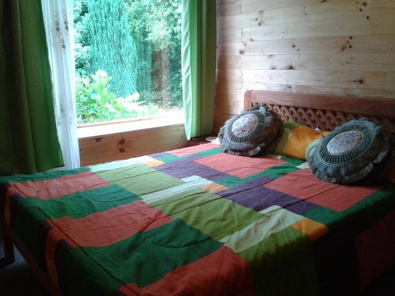 Fotografía 10 de Cabañas Cataba (Lican Ray) en Panguipulli, Los Rios