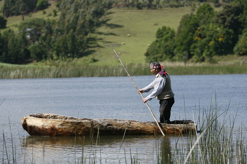 Fotografía 4 de Hospedaje en el Lago Budi en Saavedra, Araucania