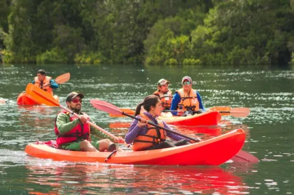 Tours y excursiones en Llanquihue, Los Lagos