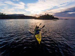 Kayak Agua Fresca en Punta Arenas, Magallanes