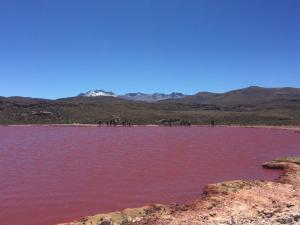 Mígico Tour Laguna Roja en Iquique, Tarapaca