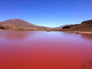 Laguna Roja en Iquique, Tarapaca