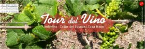 TOUR RUTA VIÁEDOS VALLE DE CASABLANCA en Valparaiso, Valparaiso