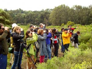Birdwatching y trekking aventurero en Concon, Valparaiso