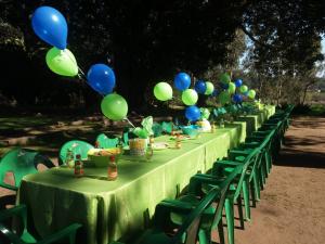 Cumpleaños aventurero en la naturaleza en Concon, Valparaiso